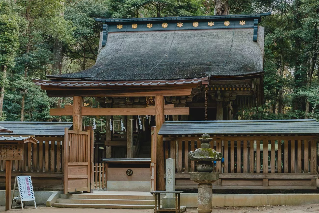 【日本旅遊】鹿島神宮御手洗池｜日本最古老神宮裡的奇幻景色，來日本的誕生地祭拜勝利之神 - 款待日子裡的甜｜旅遊、親子生活、攝影
