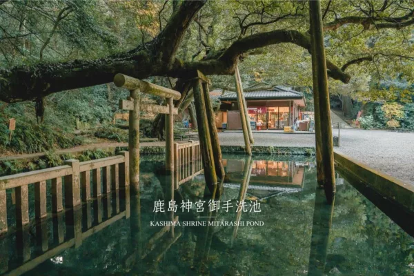 Kashima Shrine Mitarashi pond cynthia