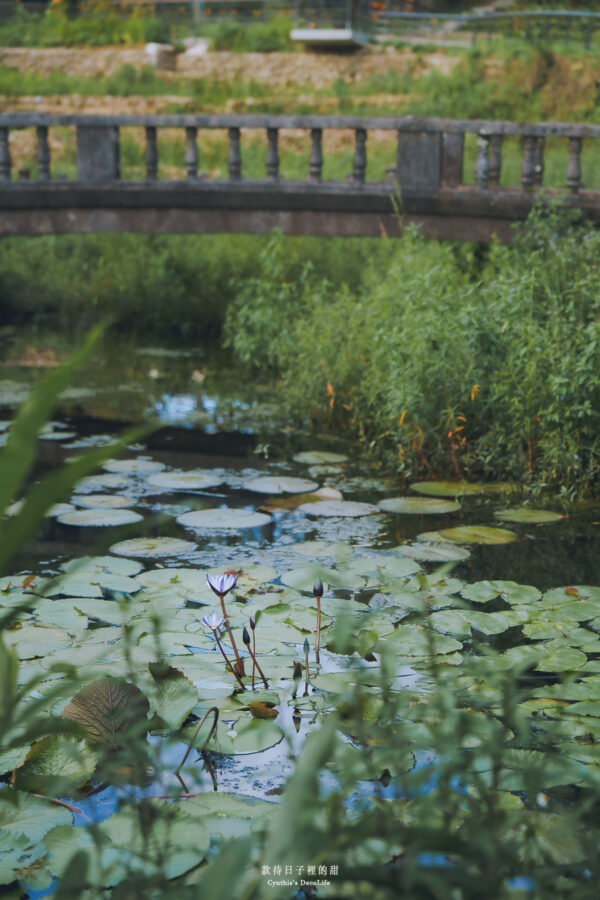 【平溪旅遊】平溪一日散策|緩緩走進山城時光,帶你探索平溪秘境景點的迷人故事 42 平溪旅遊 08528