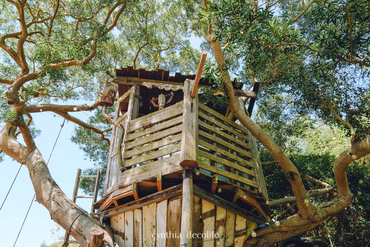 馬祖莒光旅遊攻略|東莒・西莒景點、美食、交通全整理(2025最新版) 20 馬祖 莒光 東莒 西莒 07194