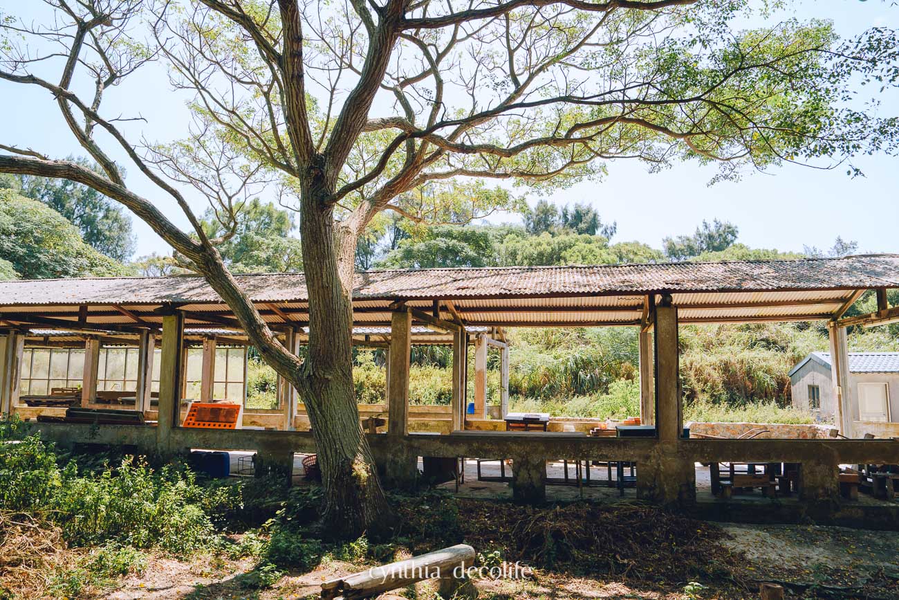 馬祖莒光旅遊攻略|東莒・西莒景點、美食、交通全整理(2025最新版) 23 馬祖 莒光 東莒 西莒 07196