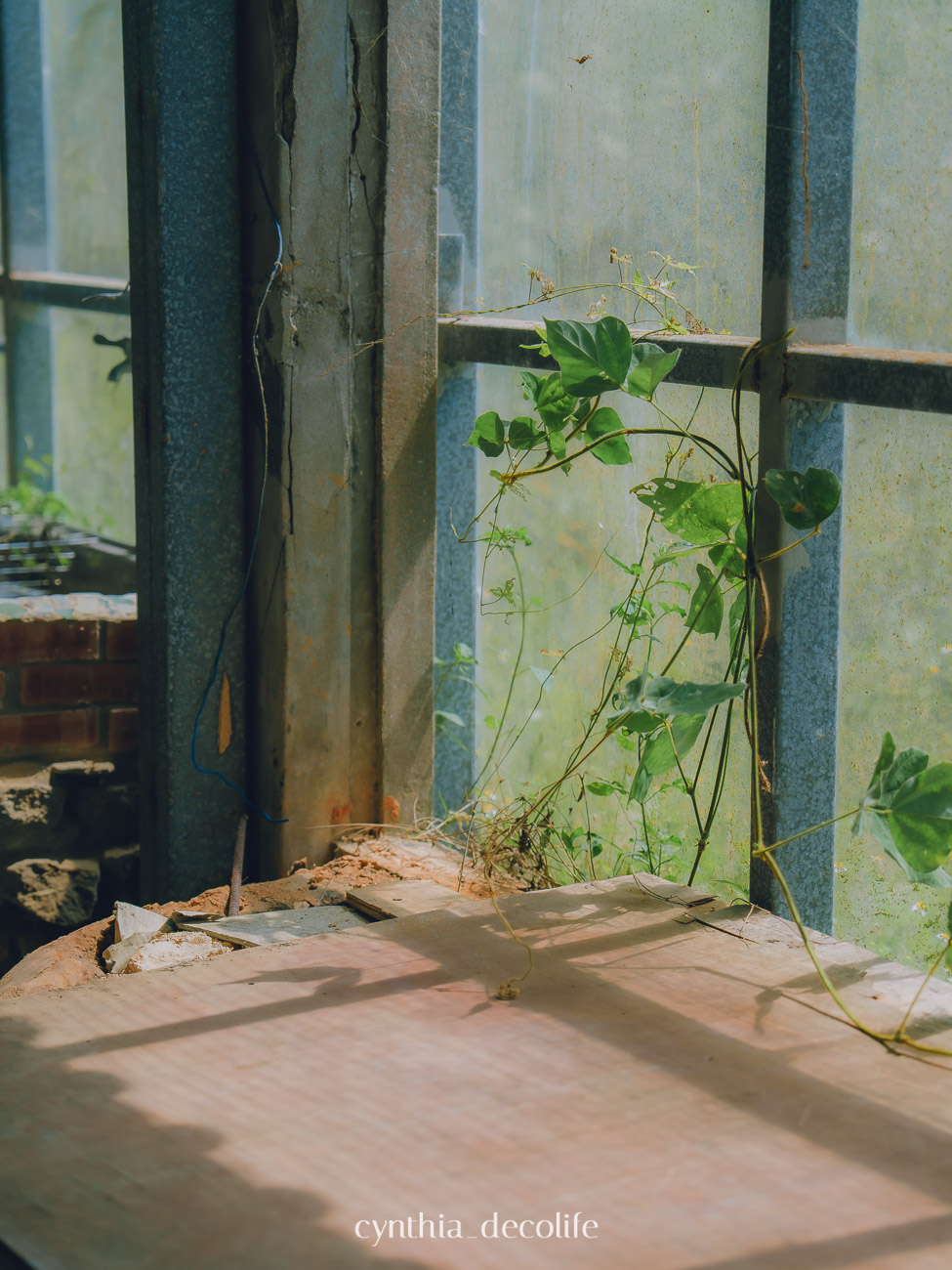 馬祖莒光旅遊攻略|東莒・西莒景點、美食、交通全整理(2025最新版) 26 馬祖莒光, 東莒, 西莒, 東莒景點, 西莒景點, 莒光景點,