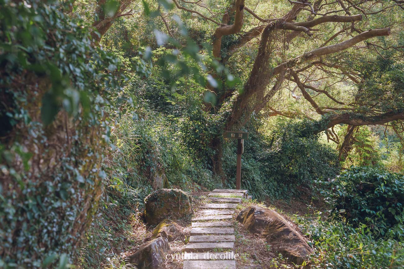 馬祖莒光旅遊攻略|東莒・西莒景點、美食、交通全整理(2025最新版) 48 馬祖 莒光 東莒 西莒 07530