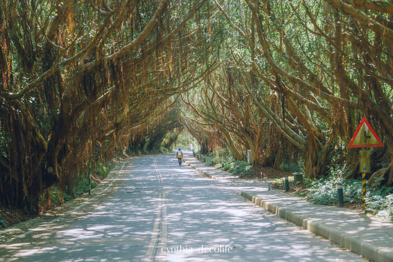 馬祖莒光旅遊攻略|東莒・西莒景點、美食、交通全整理(2025最新版) 52 馬祖 莒光 東莒 西莒 07556