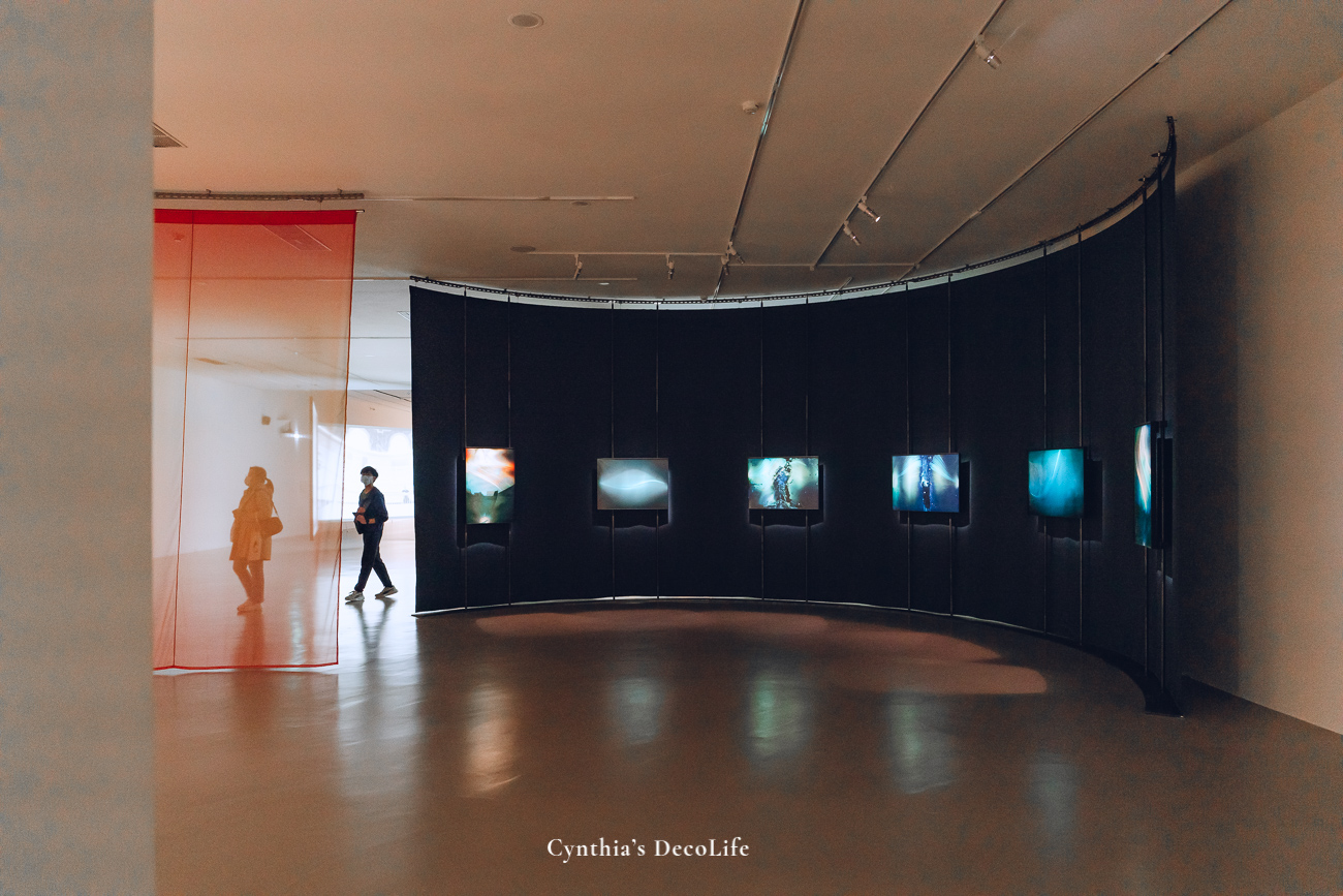 北美館 美術館 08966