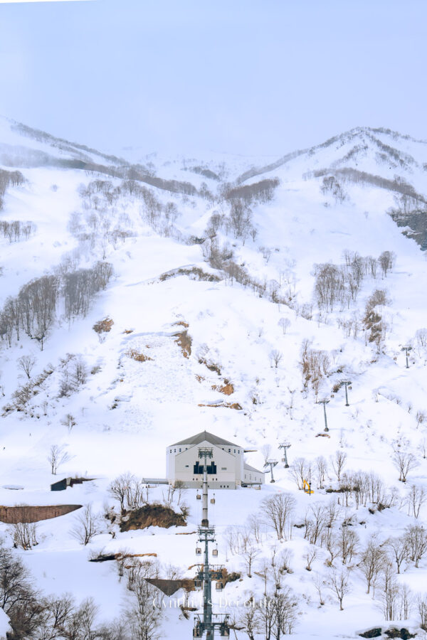 美黛子遊日本 新井樂天滑雪渡假村 00395